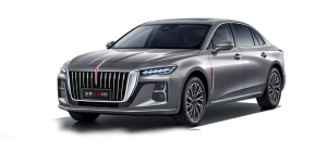 Коврики EVA на Hongqi H5 II 2022-