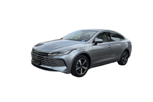 Эва-коврики на BYD Destroyer 05